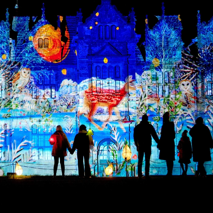 Glow Wild light display